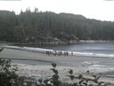 ./images/calvert/beach/20160831/beach20160831_153002.jpg