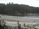 ./images/calvert/beach/20160831/beach20160831_160501.jpg