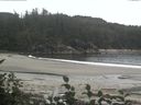 ./images/calvert/beach/20160831/beach20160831_161001.jpg