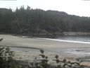 ./images/calvert/beach/20160831/beach20160831_165003.jpg