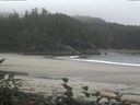 ./images/calvert/beach/20160906/beach20160906_120501.jpg
