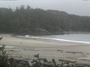 ./images/calvert/beach/20160909/beach20160909_094003.jpg