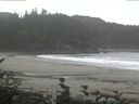 ./images/calvert/beach/20160910/beach20160910_111002.jpg