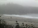 ./images/calvert/beach/20160911/beach20160911_092502.jpg