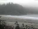 ./images/calvert/beach/20160911/beach20160911_095503.jpg