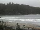 ./images/calvert/beach/20160916/beach20160916_130003.jpg