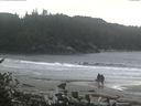 ./images/calvert/beach/20160917/beach20160917_152501.jpg