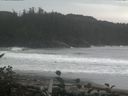 ./images/calvert/beach/20160918/beach20160918_152001.jpg