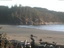 ./images/calvert/beach/20160926/beach20160926_185002.jpg