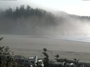 ./images/calvert/beach/20160927/beach20160927_174502.jpg