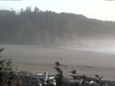 ./images/calvert/beach/20160927/beach20160927_180502.jpg