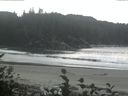 ./images/calvert/beach/20160930/beach20160930_144503.jpg
