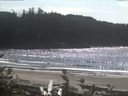 ./images/calvert/beach/20161001/beach20161001_141502.jpg