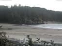 ./images/calvert/beach/20161002/beach20161002_180503.jpg