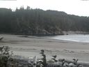 ./images/calvert/beach/20161002/beach20161002_181002.jpg