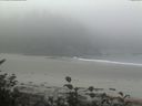 ./images/calvert/beach/20161005/beach20161005_093003.jpg