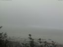 ./images/calvert/beach/20161005/beach20161005_100503.jpg