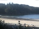 ./images/calvert/beach/20161011/beach20161011_101002.jpg