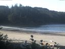 ./images/calvert/beach/20161011/beach20161011_101502.jpg