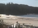 ./images/calvert/beach/20161011/beach20161011_132502.jpg