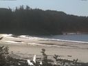 ./images/calvert/beach/20161011/beach20161011_133001.jpg