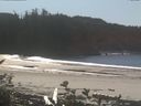 ./images/calvert/beach/20161011/beach20161011_133501.jpg