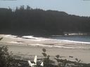 ./images/calvert/beach/20161011/beach20161011_140503.jpg