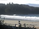 ./images/calvert/beach/20161015/beach20161015_102003.jpg