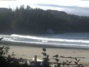 ./images/calvert/beach/20161015/beach20161015_103003.jpg