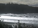 ./images/calvert/beach/20161015/beach20161015_133003.jpg