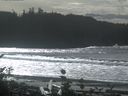./images/calvert/beach/20161015/beach20161015_133502.jpg