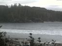 ./images/calvert/beach/20161016/beach20161016_125502.jpg