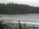 ./images/calvert/beach/20161016/beach20161016_140003.jpg