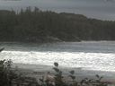 ./images/calvert/beach/20161017/beach20161017_142501.jpg