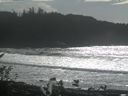 ./images/calvert/beach/20161018/beach20161018_141502.jpg