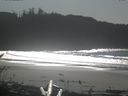 ./images/calvert/beach/20161106/beach20161106_130001.jpg