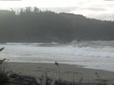 ./images/calvert/beach/20161111/beach20161111_110003.jpg