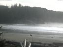 ./images/calvert/beach/20161113/beach20161113_142003.jpg