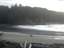 ./images/calvert/beach/20161113/beach20161113_151002.jpg