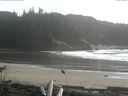 ./images/calvert/beach/20161113/beach20161113_154001.jpg