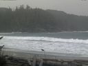 ./images/calvert/beach/20161114/beach20161114_104002.jpg
