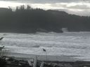 ./images/calvert/beach/20161114/beach20161114_111503.jpg