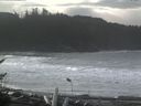 ./images/calvert/beach/20161114/beach20161114_112001.jpg