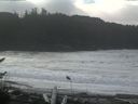 ./images/calvert/beach/20161114/beach20161114_112502.jpg