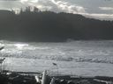 ./images/calvert/beach/20161114/beach20161114_115002.jpg