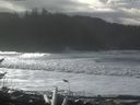./images/calvert/beach/20161114/beach20161114_115503.jpg