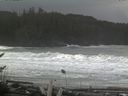 ./images/calvert/beach/20161114/beach20161114_121003.jpg
