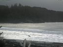./images/calvert/beach/20161114/beach20161114_122002.jpg