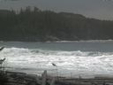 ./images/calvert/beach/20161114/beach20161114_123003.jpg