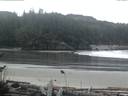 ./images/calvert/beach/20161114/beach20161114_164502.jpg